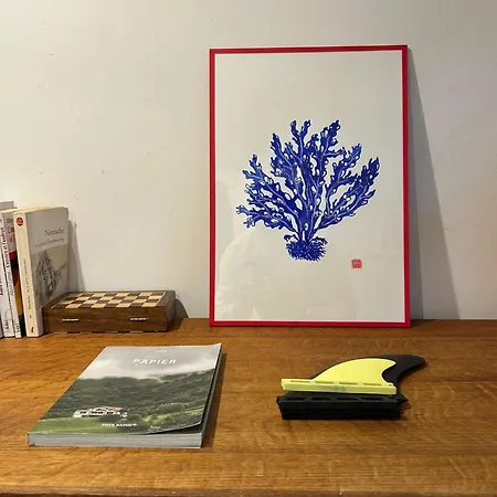 Appartement Cote Des Basques