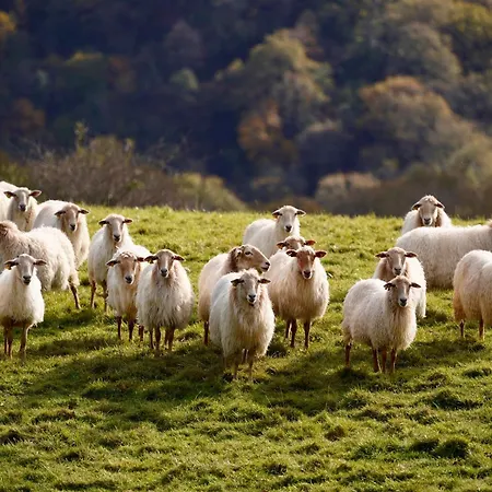 Appartement Cote Des Basques