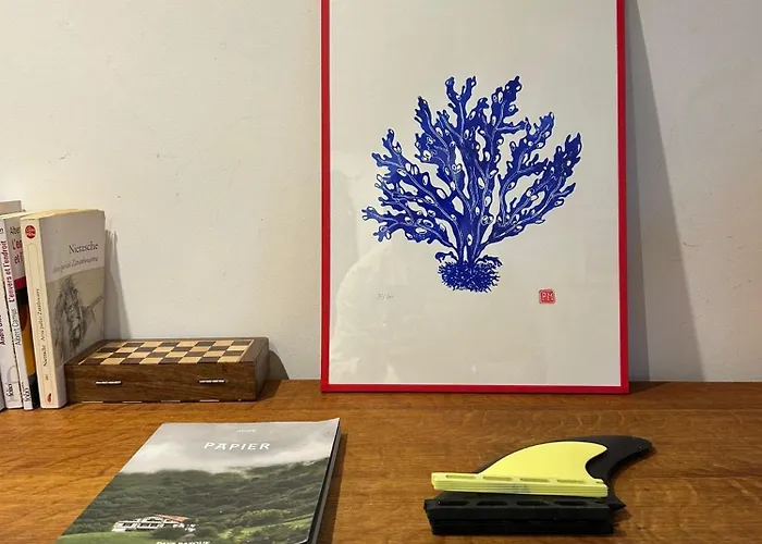 Appartement Cote Des Basques