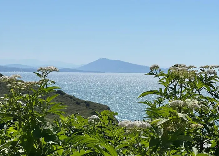 Апартаменты Cote Des Basques Биарриц